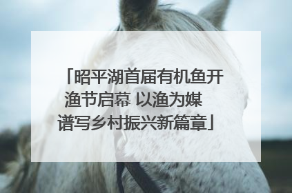 昭平湖首届有机鱼开渔节启幕 以渔为媒 谱写乡村振兴新篇章