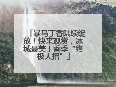 暴马丁香陆续绽放！快来观赏，冰城最美丁香季“终极大招”