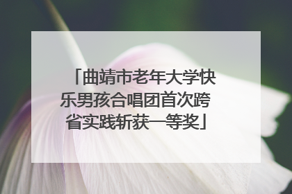 曲靖市老年大学快乐男孩合唱团首次跨省实践斩获一等奖