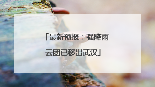 最新预报：强降雨云团已移出武汉