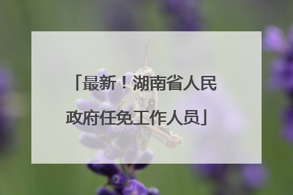 最新！湖南省人民政府任免工作人员