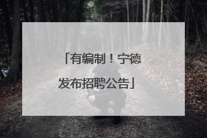 有编制！宁德发布招聘公告