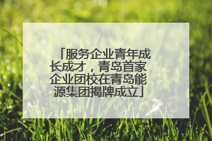 服务企业青年成长成才，青岛首家企业团校在青岛能源集团揭牌成立