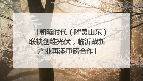 朝曦时代（曜灵山东）联袂创维光伏，临沂战新产业再添重磅合作