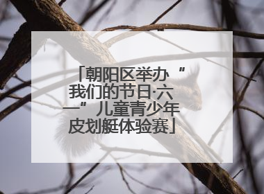 朝阳区举办“我们的节日·六一”儿童青少年皮划艇体验赛