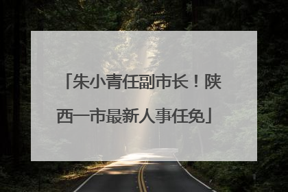 朱小青任副市长！陕西一市最新人事任免
