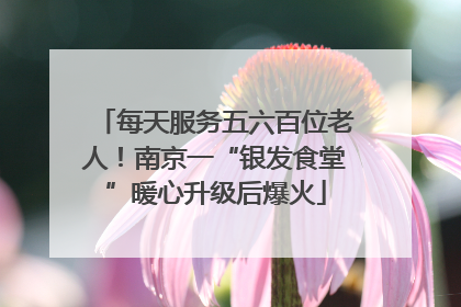 每天服务五六百位老人！南京一“银发食堂”暖心升级后爆火