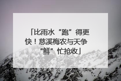 比雨水“跑”得更快！慈溪梅农与天争“鲜”忙抢收