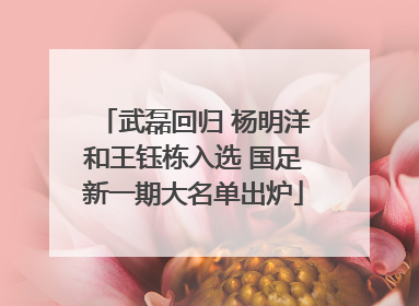 武磊回归 杨明洋和王钰栋入选 国足新一期大名单出炉