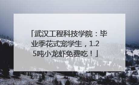 武汉工程科技学院：毕业季花式宠学生，1.25吨小龙虾免费吃！