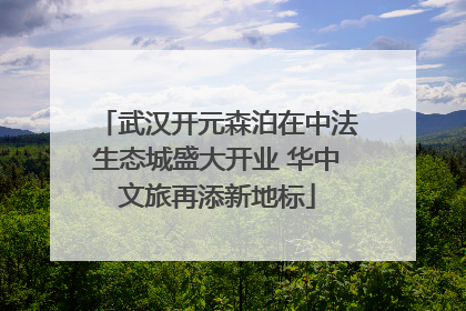 武汉开元森泊在中法生态城盛大开业 华中文旅再添新地标
