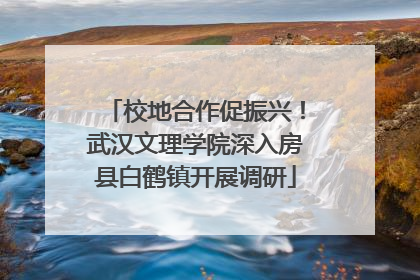 校地合作促振兴！武汉文理学院深入房县白鹤镇开展调研
