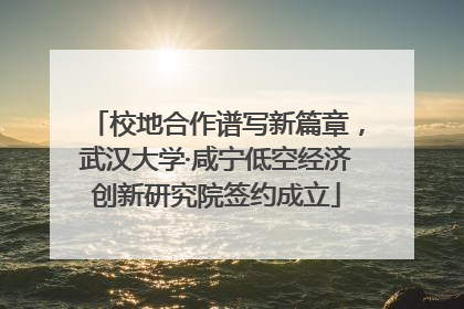 校地合作谱写新篇章，武汉大学·咸宁低空经济创新研究院签约成立