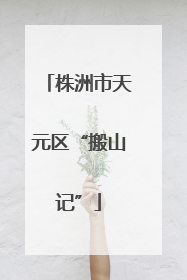 株洲市天元区“搬山记”