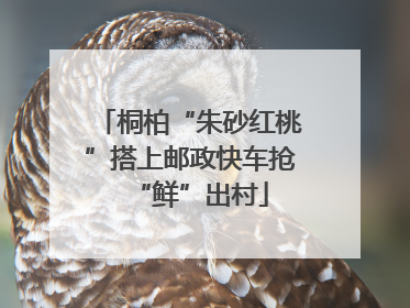 桐柏“朱砂红桃”搭上邮政快车抢“鲜”出村