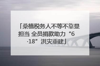 桑植税务人不等不靠显担当 全员捐款助力“6·18”洪灾重建