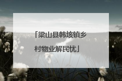 梁山县韩垓镇乡村物业解民忧