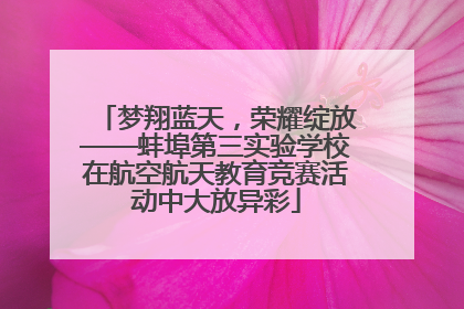 梦翔蓝天，荣耀绽放——蚌埠第三实验学校在航空航天教育竞赛活动中大放异彩