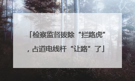 检察监督拔除“拦路虎”，占道电线杆“让路”了