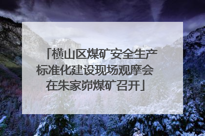 横山区煤矿安全生产标准化建设现场观摩会在朱家峁煤矿召开