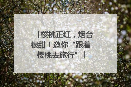 樱桃正红，烟台很甜！邀你“跟着樱桃去旅行”