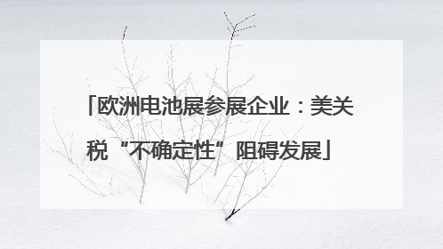 欧洲电池展参展企业：美关税“不确定性”阻碍发展