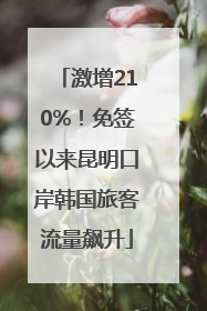 激增210%！免签以来昆明口岸韩国旅客流量飙升