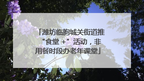 潍坊临朐城关街道推“食堂 +”活动，非用餐时段办老年课堂