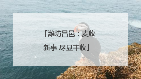 潍坊昌邑：麦收新事 尽显丰收