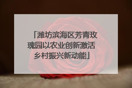 潍坊滨海区芳青玫瑰园以农业创新激活乡村振兴新动能
