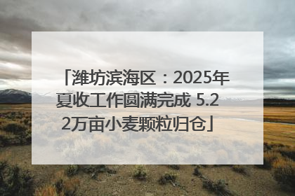 潍坊滨海区：2025年夏收工作圆满完成 5.22万亩小麦颗粒归仓