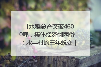 水稻总产突破4600吨，集体经济翻两番：永丰村的三年蜕变｜您牵挂的四川
