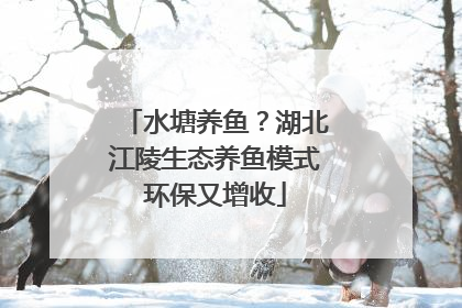 水塘养鱼？湖北江陵生态养鱼模式环保又增收