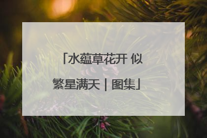 水蕴草花开 似繁星满天｜图集