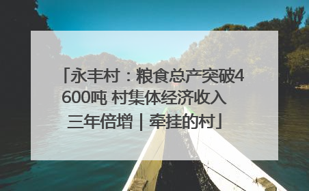 永丰村：粮食总产突破4600吨 村集体经济收入三年倍增｜牵挂的村