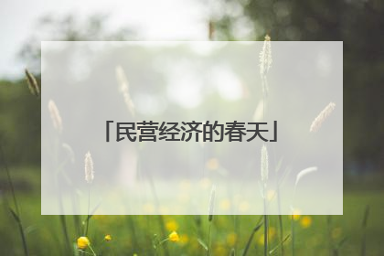 民营经济的春天