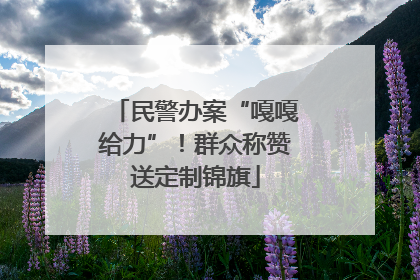 民警办案“嘎嘎给力”！群众称赞送定制锦旗