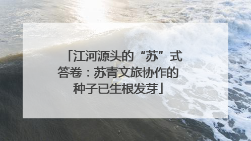 江河源头的“苏”式答卷：苏青文旅协作的种子已生根发芽