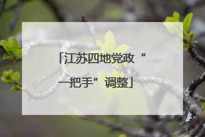 江苏四地党政“一把手”调整