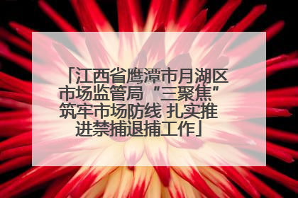 江西省鹰潭市月湖区市场监管局“三聚焦”筑牢市场防线 扎实推进禁捕退捕工作