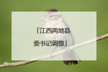 江西两地县委书记调整