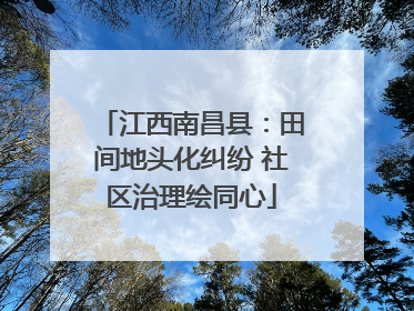 江西南昌县：田间地头化纠纷 社区治理绘同心