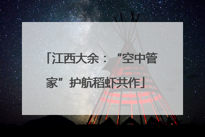江西大余：“空中管家”护航稻虾共作
