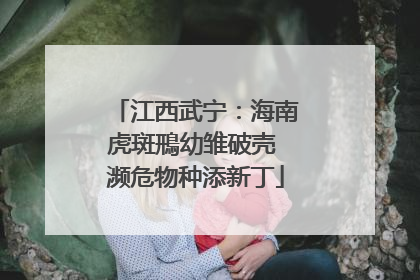 江西武宁：海南虎斑鳽幼雏破壳 濒危物种添新丁