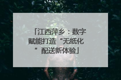 江西萍乡：数字赋能打造“无纸化”配送新体验