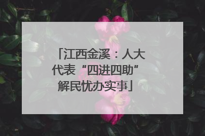 江西金溪：人大代表“四进四助”解民忧办实事