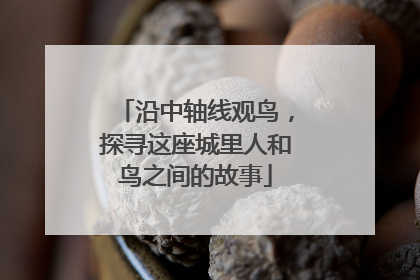 沿中轴线观鸟，探寻这座城里人和鸟之间的故事