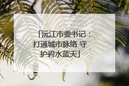 沅江市委书记：打通城市脉络 守护碧水蓝天