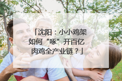 沈阳：小小鸡架如何“啄”开百亿肉鸡全产业链？