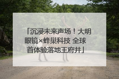 沉浸未来声场！大明眼镜×蜂巢科技 全球首体验落地王府井